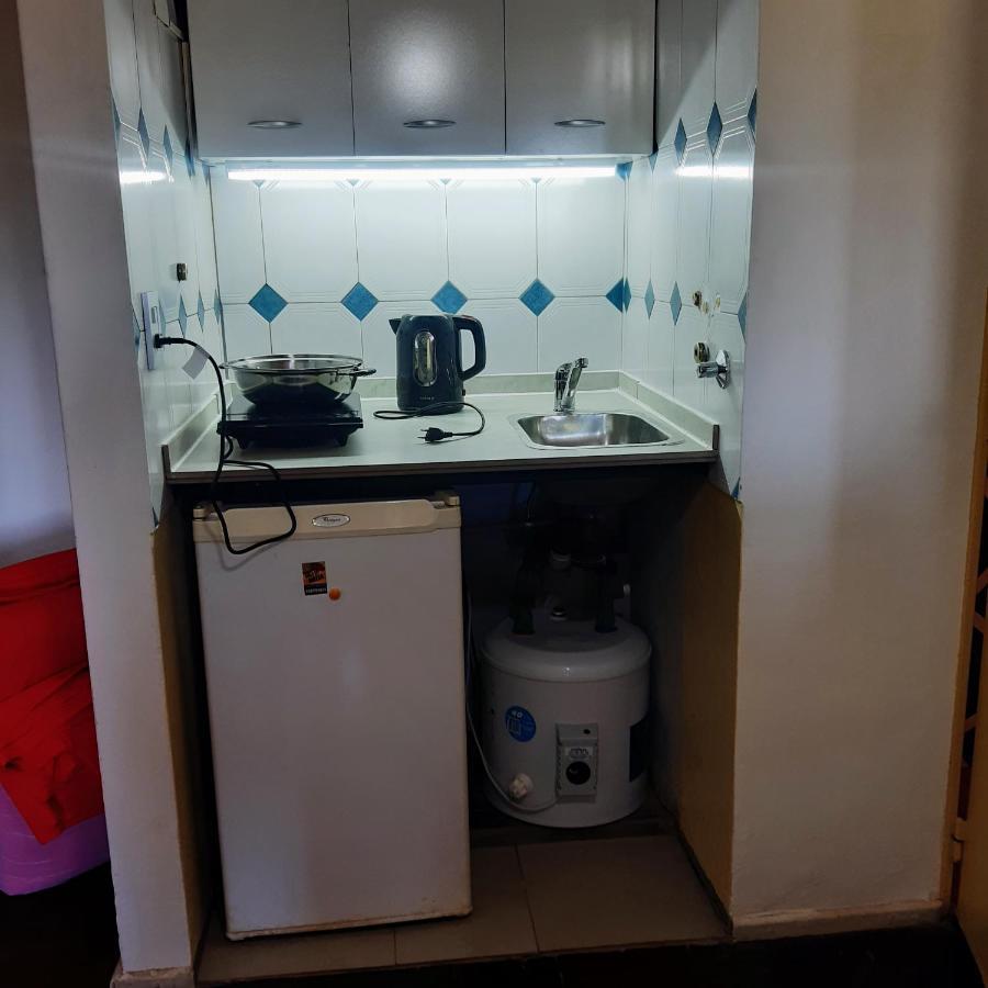 Lo De Roo Apartment Мендоса Екстериор снимка